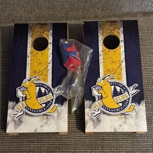 UCSC Santa Cruz University Banana Slugs mini tabletop cornhole licensed